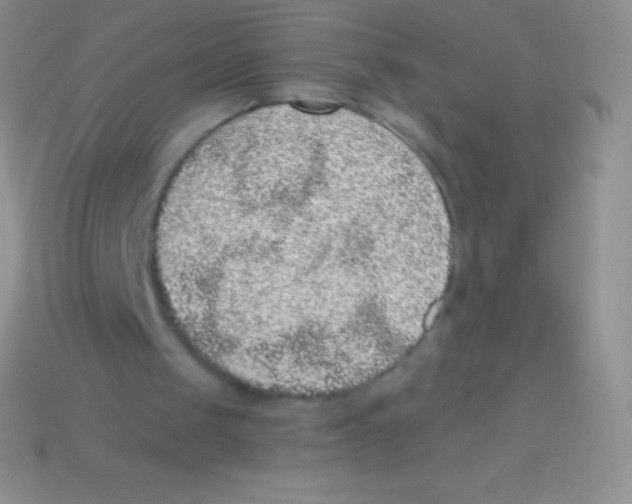 X0000113630049200910162024