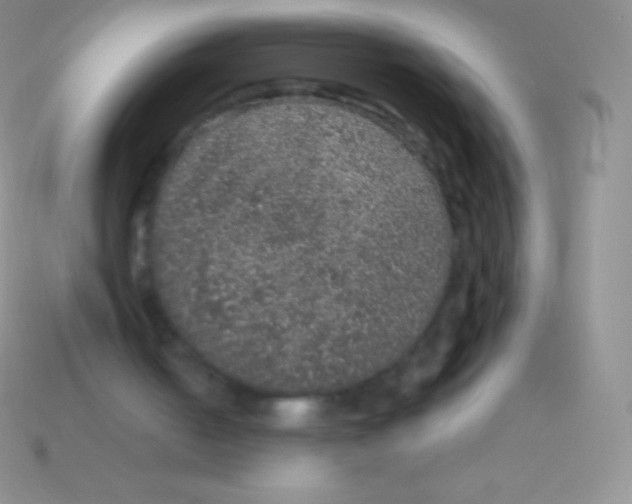 X0000113630050200910162024