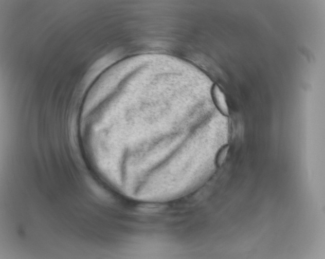 X0000113630051200910162024