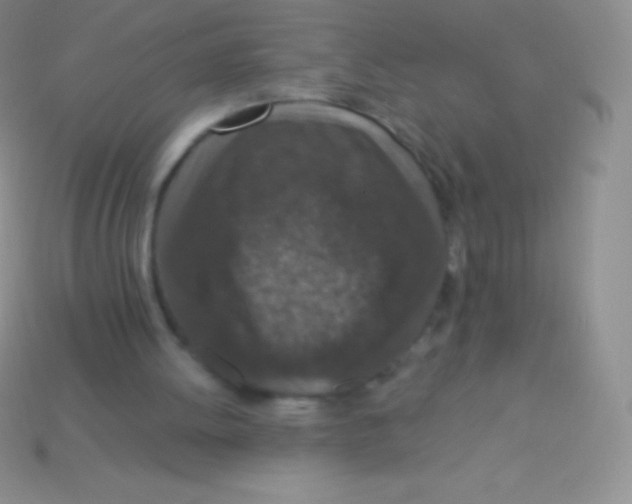 X0000113630052200910162024