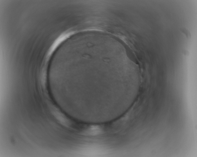 X0000113630056200910162024