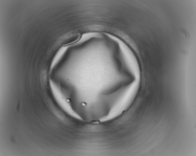 X0000113630057200910162024