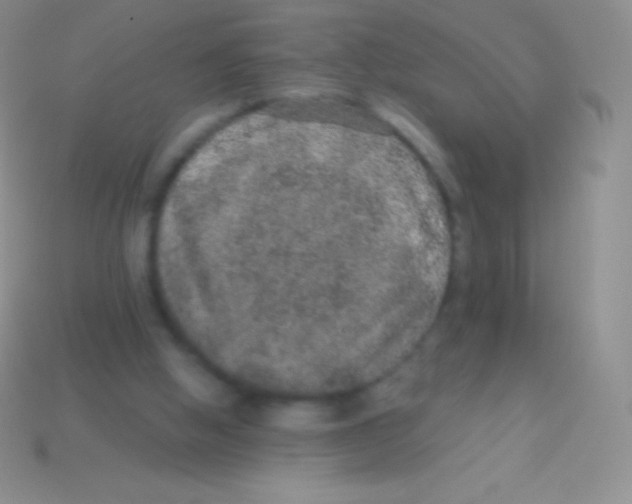 X0000113630058200910162024