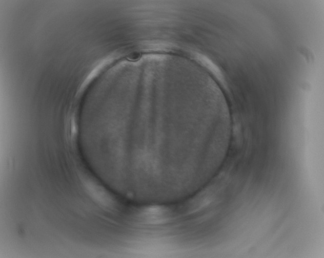 X0000113630059200910162024