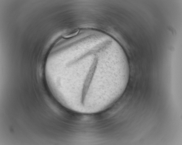 X0000113630060200910162024