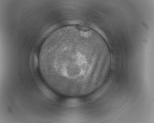 X0000113630061200910162024