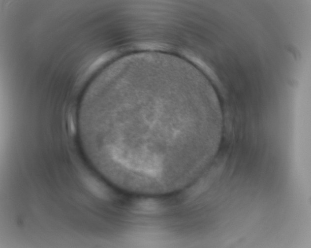 X0000113630062200910162024