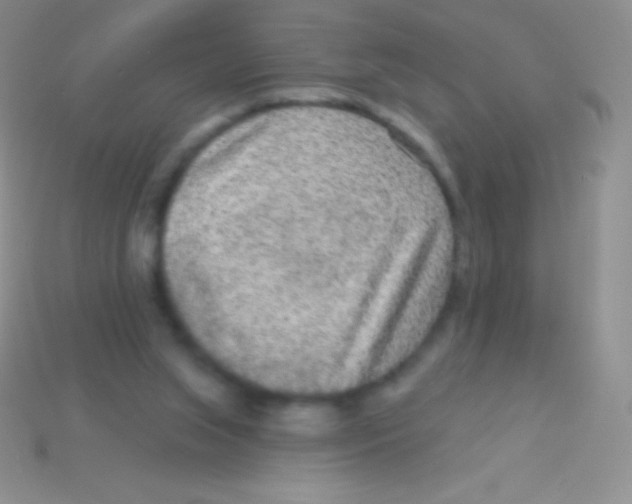 X0000113630063200910162024