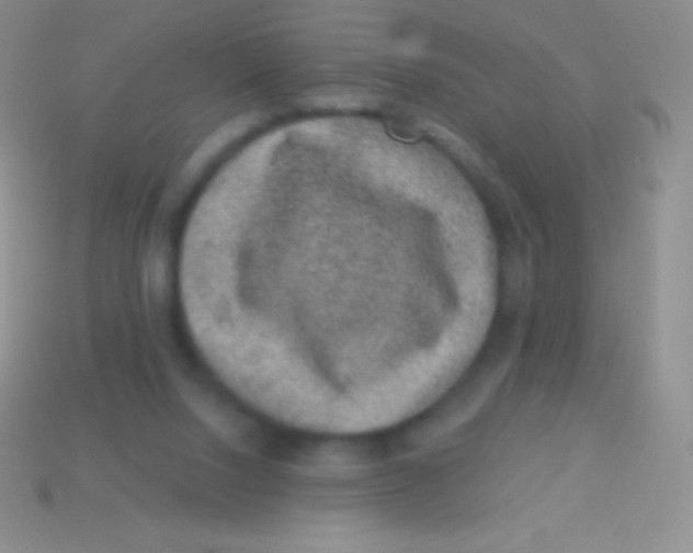 X0000113630064200910162024