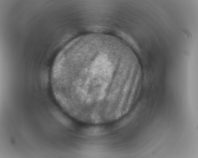 X0000113630065200910162024