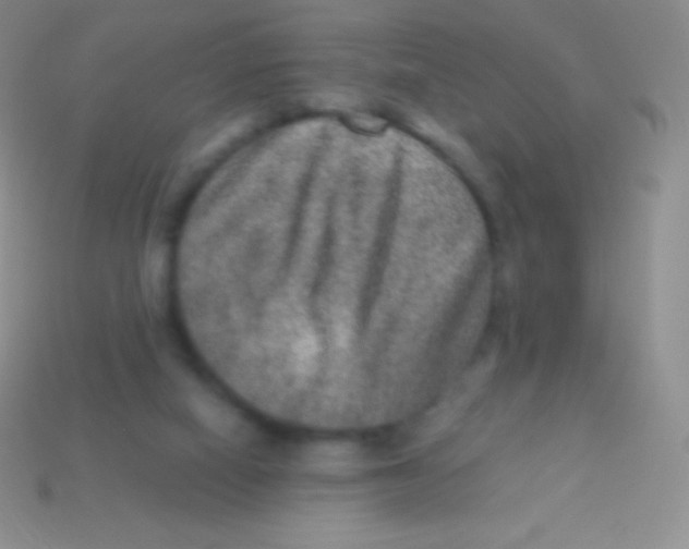 X0000113630066200910162024