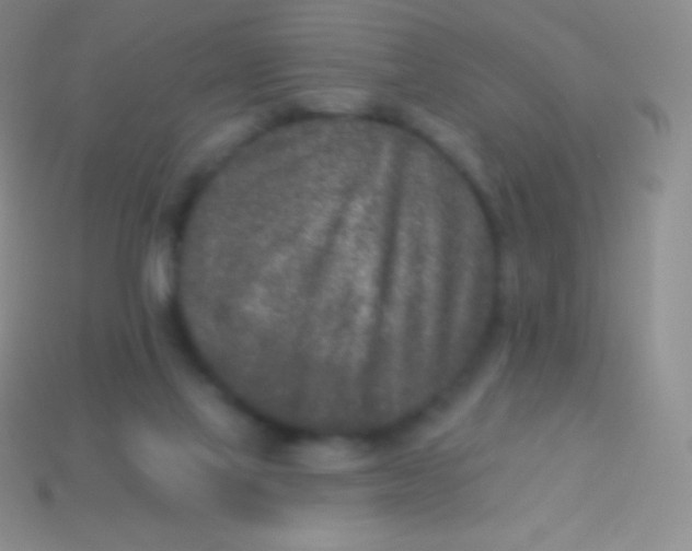 X0000113630069200910162025