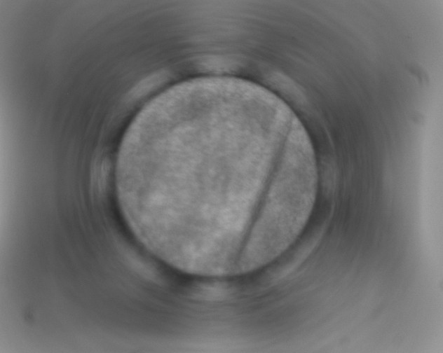 X0000113630071200910162025