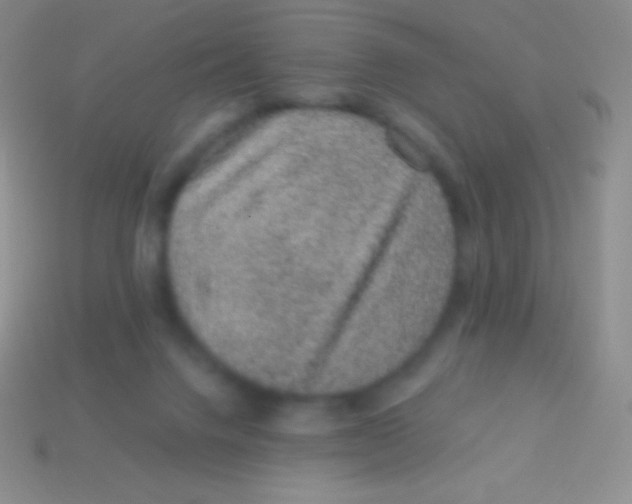 X0000113630072200910162025