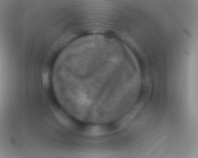 X0000113630074200910162025