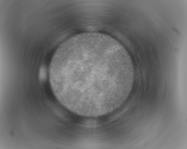 X0000113630075200910162025