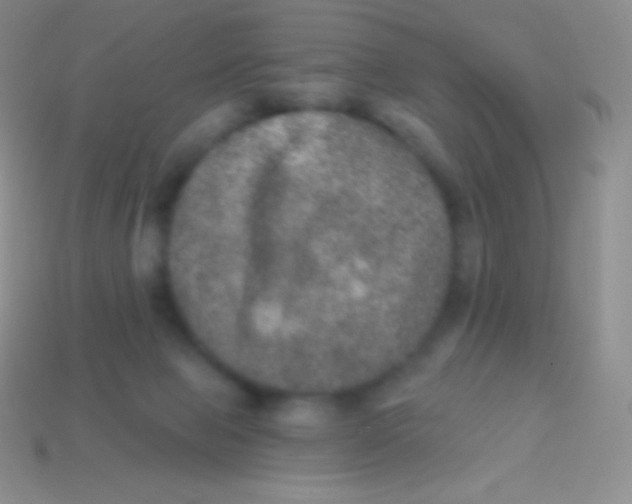 X0000113630077200910162025