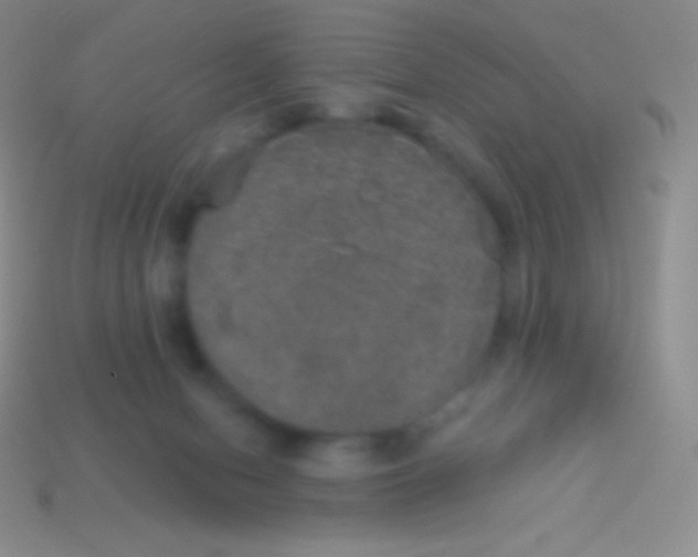 X0000113630078200910162025