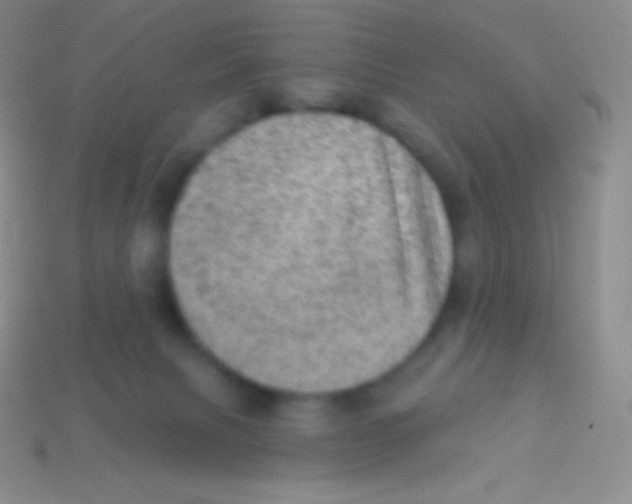 X0000113630079200910162025