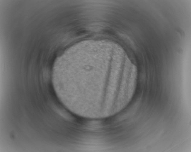 X0000113630081200910162025