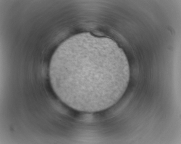 X0000113630083200910162025