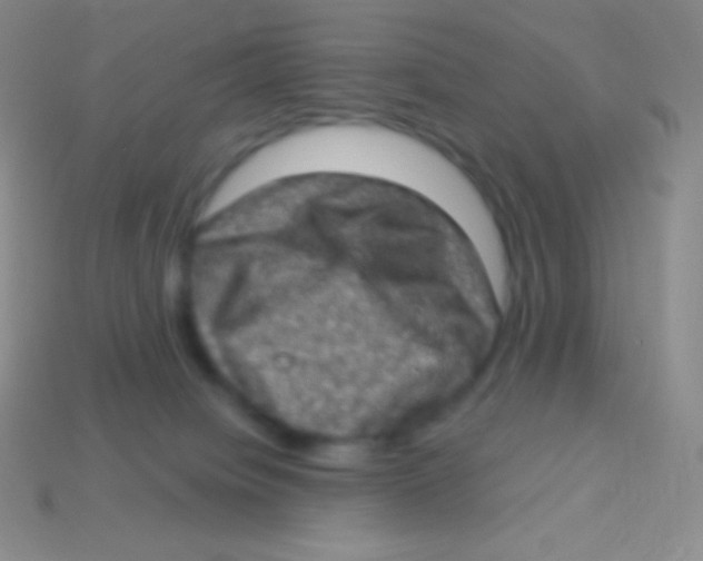 X0000113630084200910162025