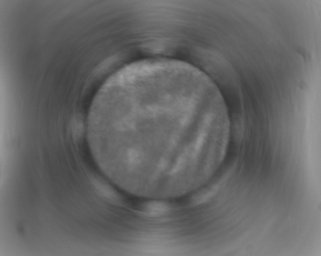 X0000113630085200910162025