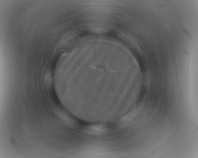 X0000113630086200910162025