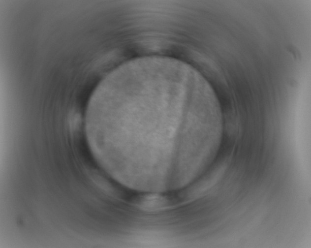 X0000113630087200910162025