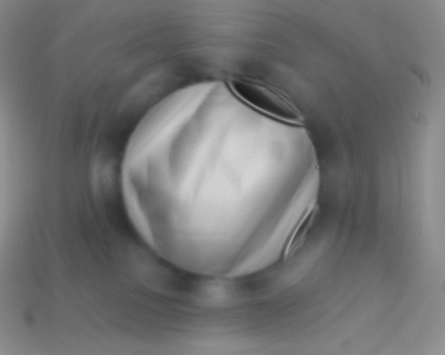 X0000113630088200910162025