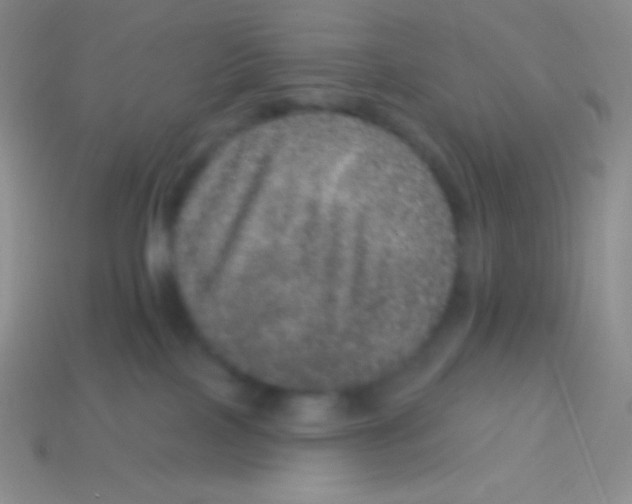 X0000113630089200910162025