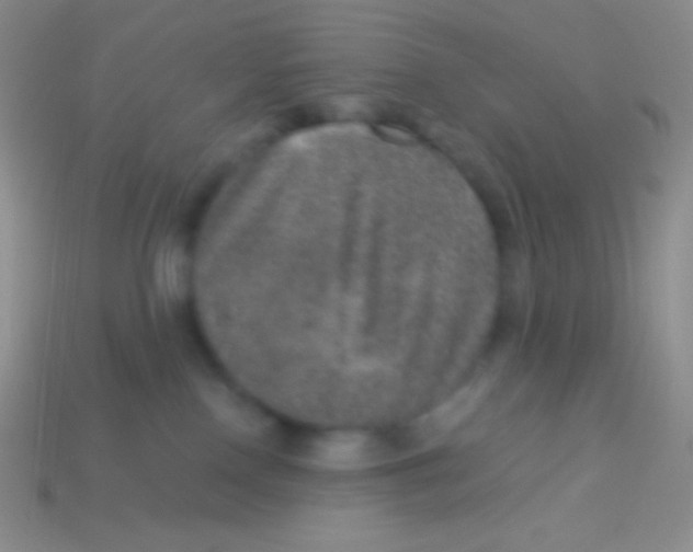 X0000113630090200910162025