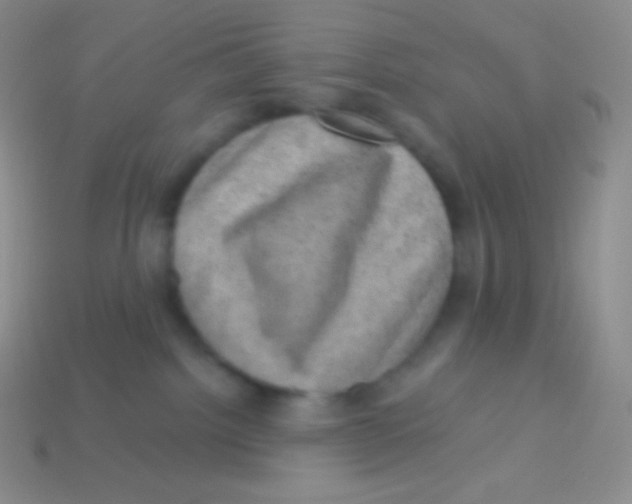 X0000113630092200910162025