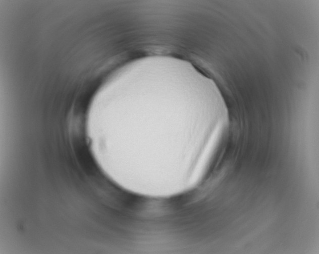 X0000113630093200910162025