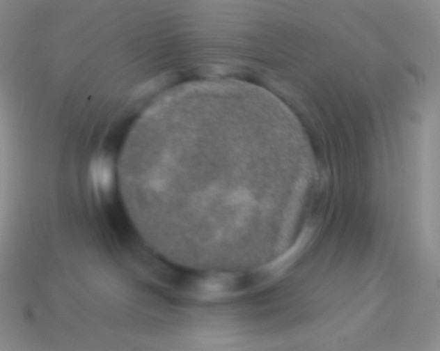 X0000113630094200910162025