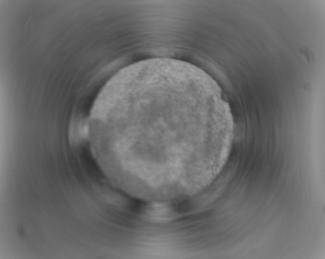 X0000113630095200910162025