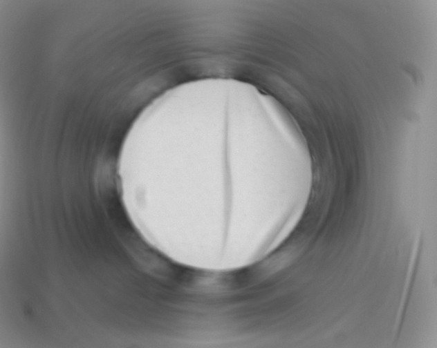 X0000113630096200910162025