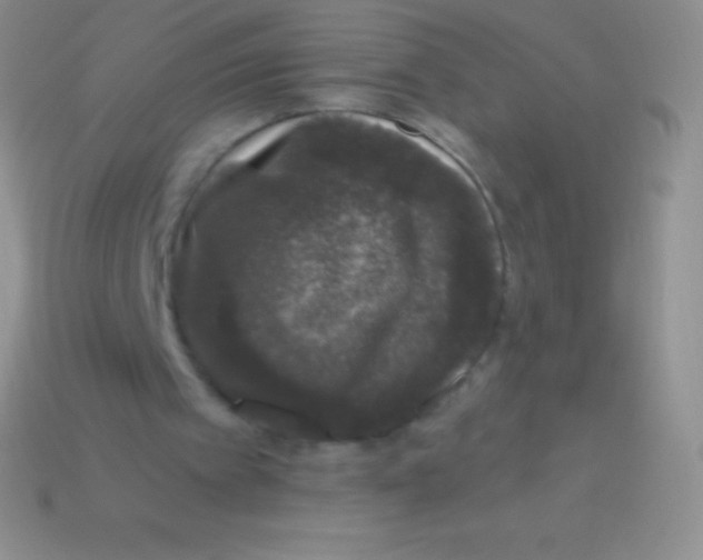 X0000113630097200910162024