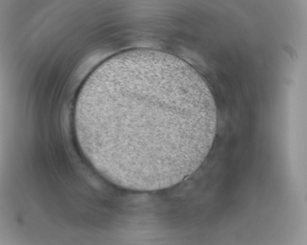 X0000113630098200910162024