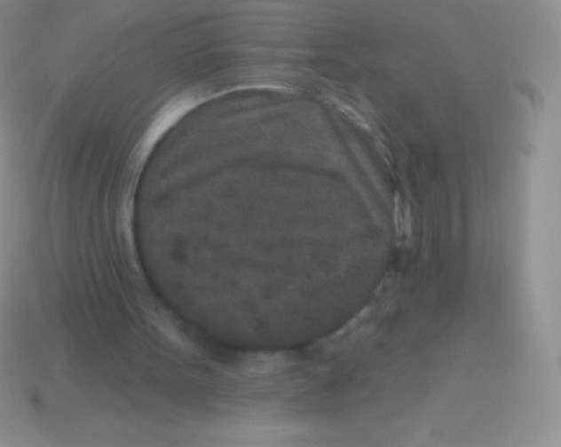 X0000113630099200910162024