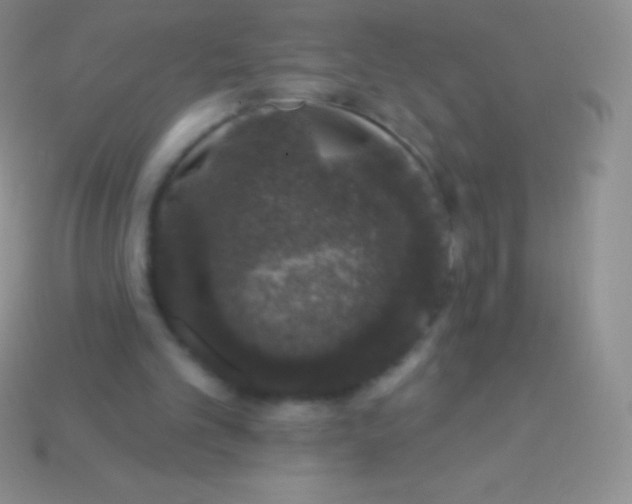 X0000113630101200910162024