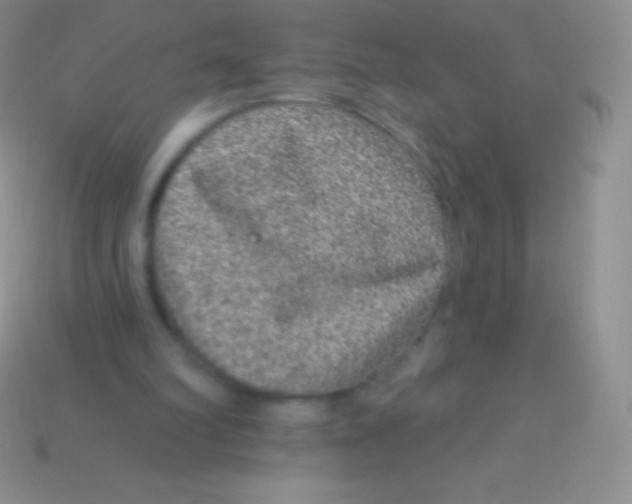 X0000113630102200910162024