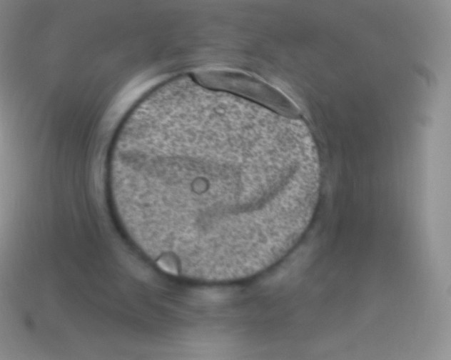 X0000113630103200910162024