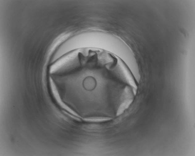 X0000113630104200910162024