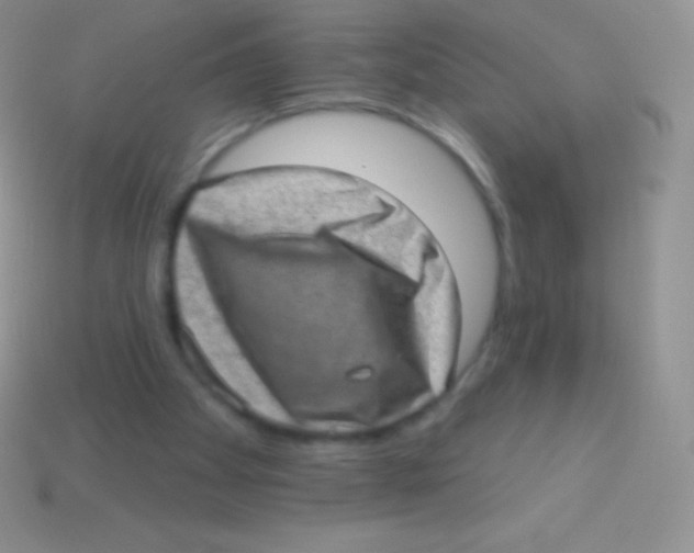 X0000113630105200910162024