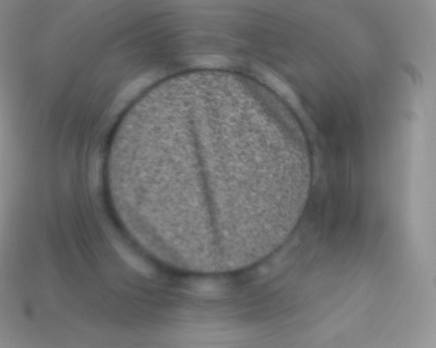 X0000113630106200910162024