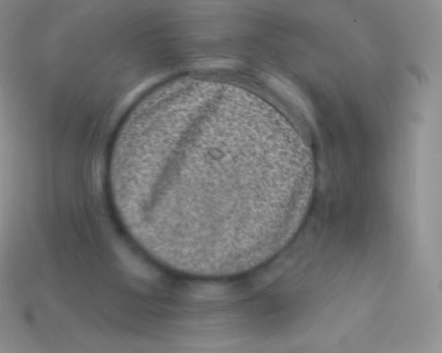 X0000113630107200910162024