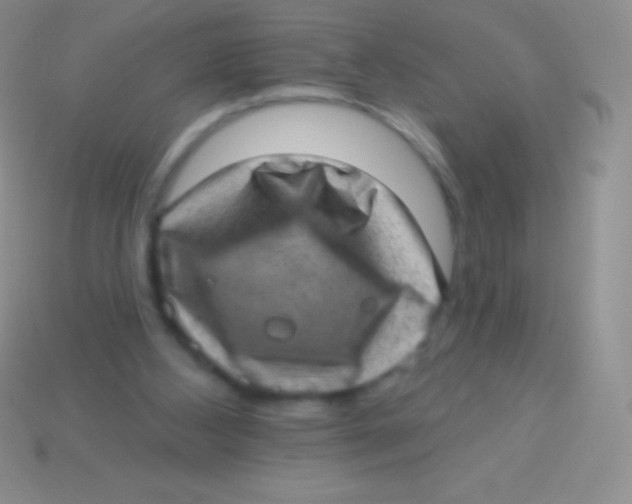 X0000113630108200910162024