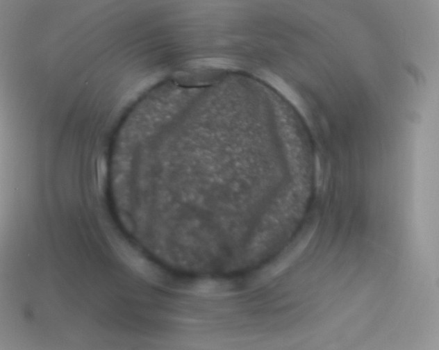 X0000113630109200910162024