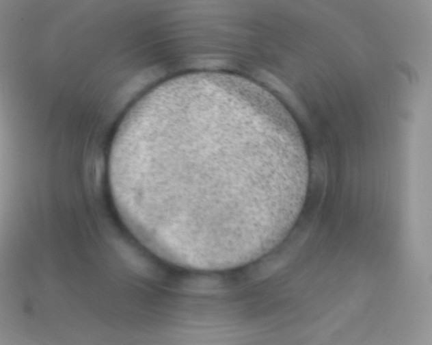 X0000113630110200910162024